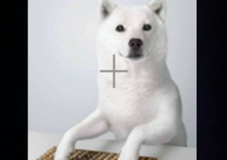 ソフトバンクモバイル、画像認識で情報を得られるiPhoneアプリ「かざしてGO！」を公開