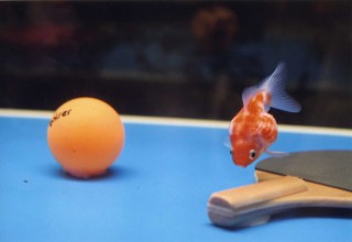 東京都／東京女子医科大学写真部写真展「女子医大」