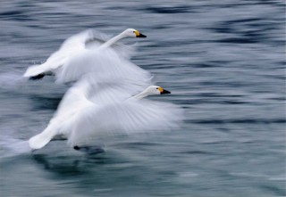 東京都／風景写真Award 2012展