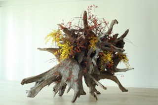 東京都／注目のフラワーユニット「plantica nomadic」展