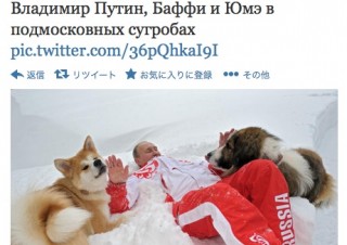 秋田犬の「ゆめ」とプーチン大統領が雪の中でたわむれている写真が公開
