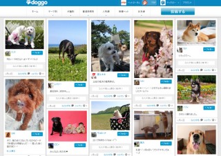 ペットゴー、愛犬の写真を投稿/共有できるSNS「ドッグゴー」をオープン