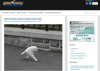 Googleストリートビューで「2本足の猫」が撮影される、ネットの猫好き騒然