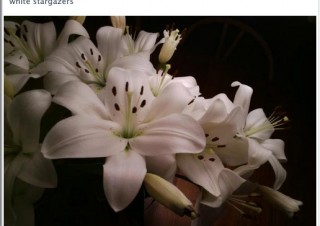 Google GlassのFacebookアプリとTwitterアプリが公開される