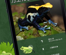 【iPhone/iPadアプリ】あわしま世界のカエル図鑑