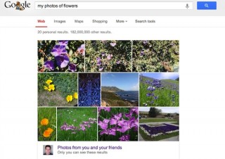 Google+の写真検索機能が強化、キーワード入力するだけで検索結果ページに表示