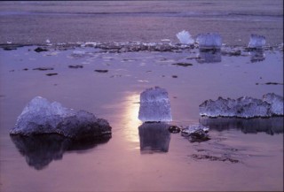 東京都／写団「群峰」写真展「第32回群峰展『風光彩景』」