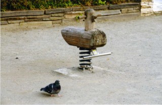 東京都／安西英一写真展「今日もワンダーランド 〜笑える写真あります」