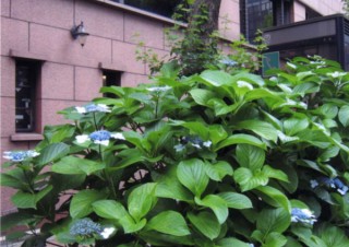 東京都／贅沢な床写真展「贅沢な床8」