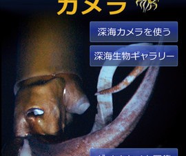NHK、番組や特別展に連動したiPhone/Android向けARアプリ「深海カメラ」を提供開始