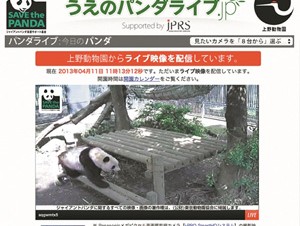上野動物園公式「うえのパンダライブ.jp」がリーリー誕生日を祝う企画を実施