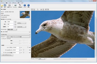 ジャングル、100万×100万pixelsまで画像拡大できる「PhotoZoom Pro 5」