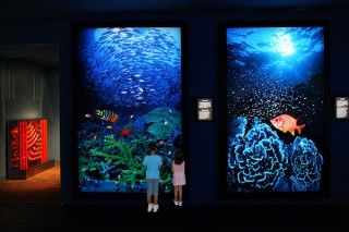 伊東昭義氏の水中フォトアートを体感できる「伊東昭義美術館」がオープン