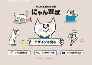 やっぱ猫でしょ！干支にいない猫をテーマにした年賀状印刷「にゃん賀状」
