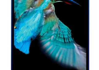 ソフトバンク、冬春モデル「AQUOS PHONE」「Arrows」が実質0円のキャンペーン