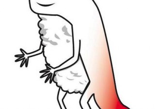 北海道北斗市のご当地キャラクターが「ずーしーほっきー」に決定、早速話題に