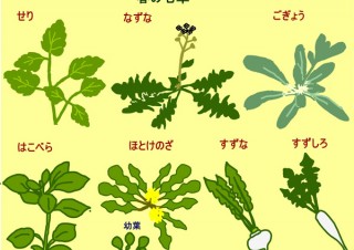 MdN Design Interactive週間ランキング（12/29～1/4）