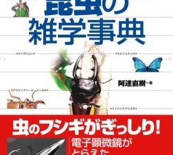 夏休みの旅行や自由研究に! iPad用電子書籍アプリ「昆虫の雑学辞典」