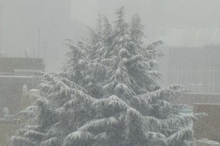 東日本は15日、東北地方は16日にかけて広範囲で大雪に
