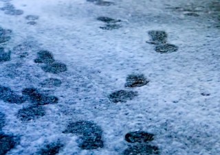 MdN Design Interactive週間ランキング（2/9～2/15）