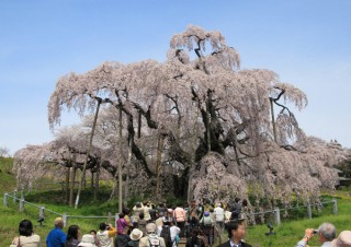 MdN Design Interactive週間ランキング（2/23～3/1）