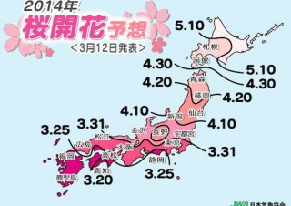 日本気象協会「もうすぐ桜開花」、高知は3/18に開花か