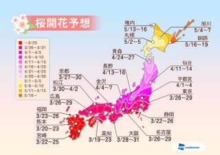 第2回桜開花予想、東・西日本はやや遅め 北日本は早め