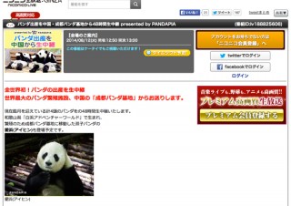 世界初、パンダの出産をニコ生で中継—8/14 13時まで