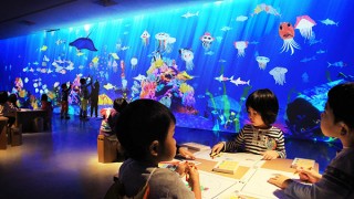 東京都・「お絵かき水族館 / Sketch Aquarium」