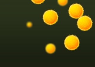 春シーズン到来、iPhoneアプリ「花粉レーダー」
