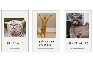 東京都・「招福笑福 猫まつり 人生はニャンとかなる！展」