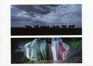 東京都・吉野信写真展「ネイチャー・ワールド」