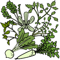 MdN Design Interactive週間ランキング（12/28～1/3）