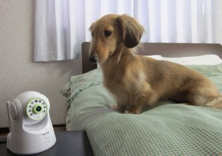 NEC、スマホで確認できるセンサー付きネットワークカメラ