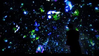 徳島県・「チームラボ Falling Universe of Flowers in the Planetarium と、まだ かみさまが いたるところにいたころの ものがたり」展