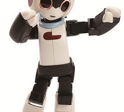 東京都・「ロボットクリエーター高橋智隆と100Robi」