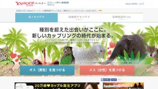 Yahoo!パートナー、動物界から1日限りの会員参加
