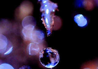 東京都・豊田直之写真展「水の輪廻～広大なる海の行方を追い求めて～」