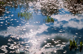 東京都・写団「群峰」による写真展「第33回群峰展『風光彩景』」