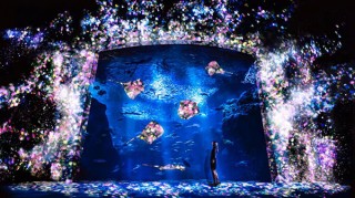 神奈川県・デジタルアート演出される夜の光の水族館「えのすい×チームラボ ナイトワンダーアクアリウム2015」