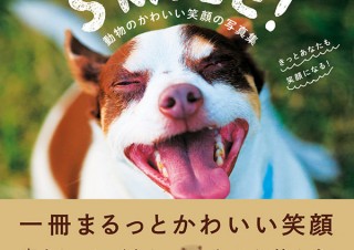 40種以上の癒される動物を掲載「SMILE! 動物のかわいい笑顔の写真集 きっとあなたも笑顔になる！」