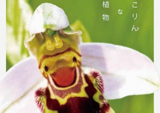 あやしくも奥深い植物の世界を撮影した写真集「へんてこりんな植物」