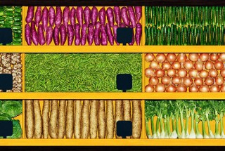 東京都・8月31日“野菜の日”に東京メトロ新宿駅へ出現する展示「JAウォールファーマーズマーケット」