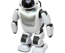 DMM.com、コミュニケーションロボット「Palmi」の開発環境を開発者向けに公開