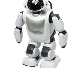 DMM.com、コミュニケーションロボット「Palmi」の開発環境を開発者向け