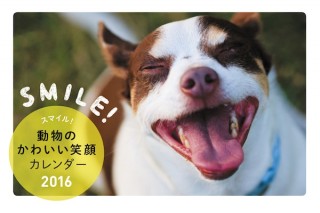 愛らしい動物たちの笑顔がいっぱい「2016 スマイル！動物のかわいい笑顔カレンダー」