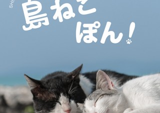 日本全国の“島ねこ”を集めた写真集「島ねこぽん」－先行販売と記念イベントも開催