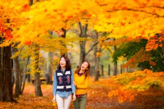 青森県・自然と同化した“見えないベンチ”などが登場する「奥入瀬紅葉ミュージアム」