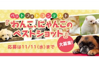 キヤノンMJの“withPhoto”でのペットフォトコンテスト「わんこ、にゃんこのベストショット」