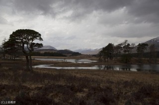 約5060万画素の一眼レフで撮影した新作も展示！上田義彦氏の写真展が東京のキヤノンギャラリーSで開催